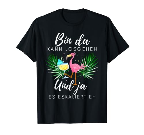 Flamingo Bin da kann Vergleich