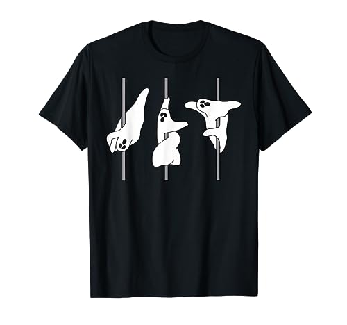 Lustiger Geist Pole Dance Vergleich
